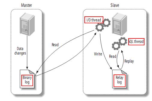 mysql